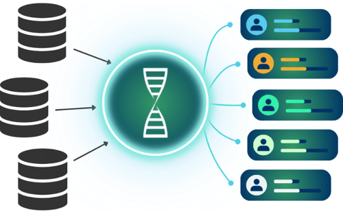 Custom Data Enrichment