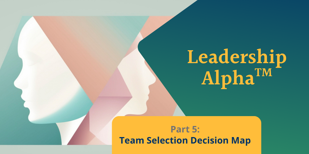 Building a Team Selection Decision Map