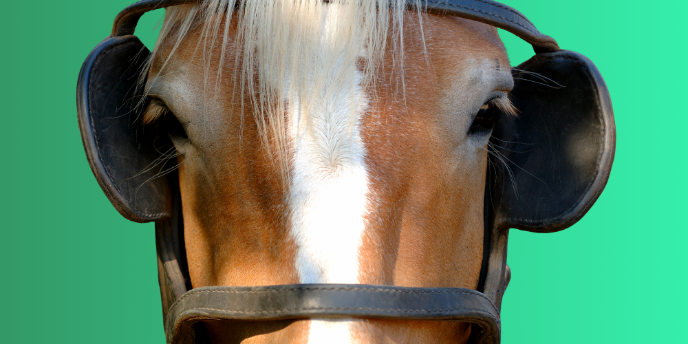 Wealth Advisors Need a Behavioral Operating System, Not a Dashboard
